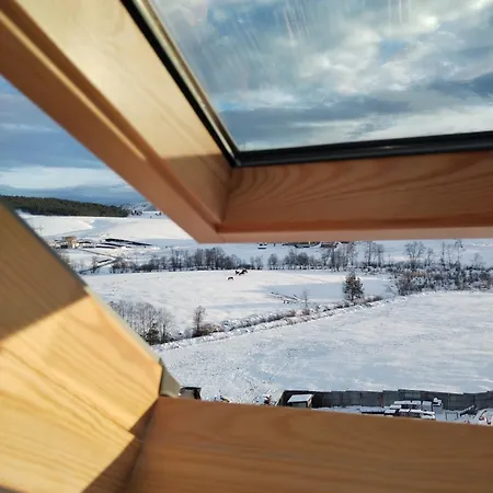 Sm Relax & 3 Apartament Zlatibor