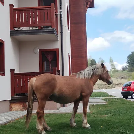 Sm Relax & 3 * Zlatibor