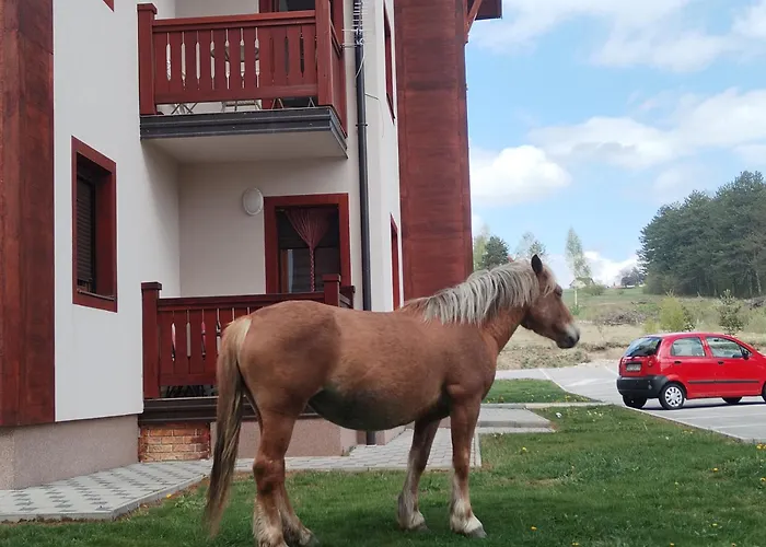 Sm Relax & 3 * 즐라티보